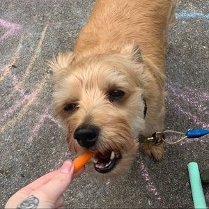 Meet your Posher, Brooke